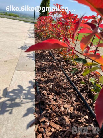 Дървесен мулч , снимка 9 - Градински цветя и растения - 44477691