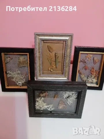 Картини, снимка 5 - Картини - 48669859