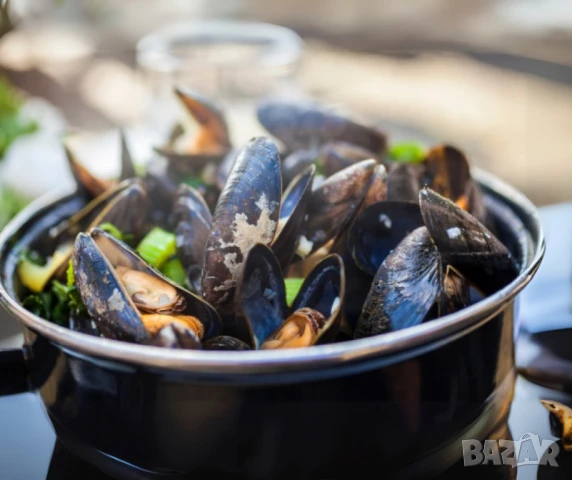 Емайлирана тенджера за миди 5 л, Ø22 см, за индукционни котлони