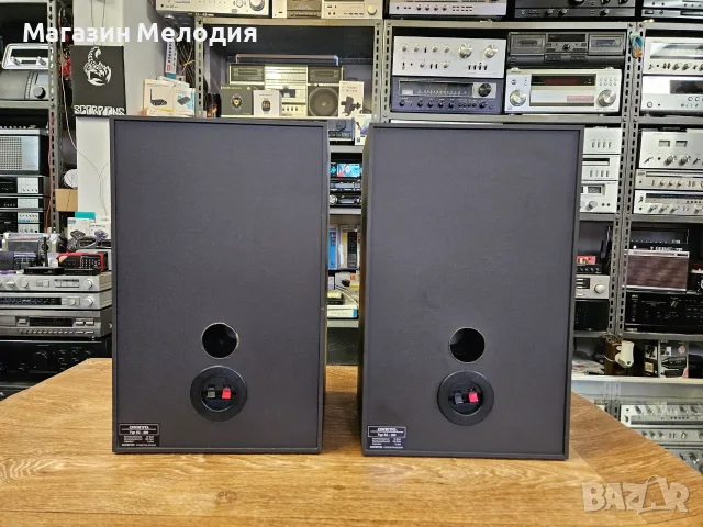 Тонколони Onkyo SC-260 – Винтидж класика с чист аналогов звук, Made in Japan, снимка 11 - Тонколони - 56172868