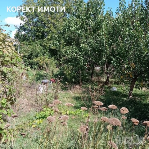 ПРОДАВА ТУХЛЕНА КЪЩА в село Царев брод, снимка 5 - Къщи - 38073161