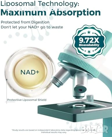 Нова добавка Liposomal NAD+ с 200mg Resveratrol енергия фокус жизненост и яснота, снимка 3 - Хранителни добавки - 53875913