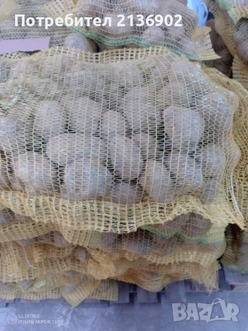 Продавам картофи за консумация СОРАЯ, снимка 4 - Домашни продукти - 53970009