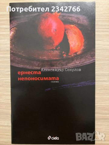 История на минималната съпротива – Александър Секулов, снимка 3 - Българска литература - 39388154