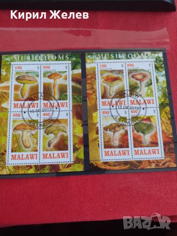Пощенски марки чиста комплектна серия ГЪБИ 2013г. поща Малави за колекция 29802, снимка 8 - Филателия - 37689347