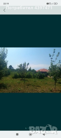 къща с двор и овошки, снимка 7 - Къщи - 53263152