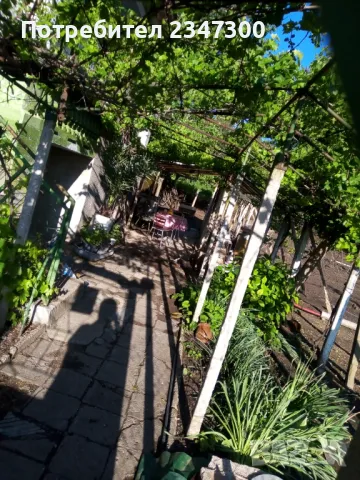 Селска къща в с.златия, снимка 14 - Къщи - 44665887