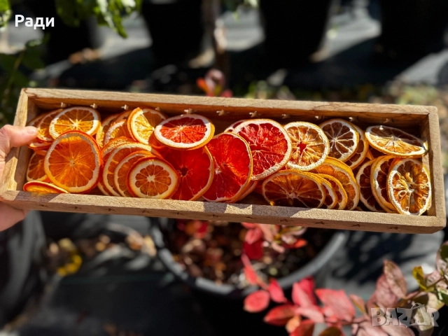 Сушени плодове за декорация , снимка 4 - Други - 52107092