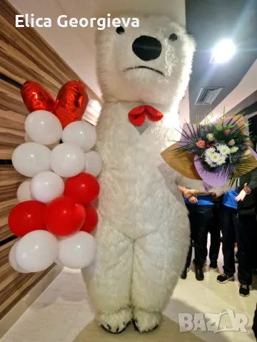 Бяло мече Варна, bialomeche, снимка 11 - Детегледачки, детски центрове - 48374405