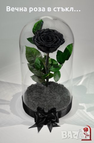 Подарък за рожден ден / Вечна Черна роза в ГОЛЯМА стъкленица / Оригинален подарък за нея, снимка 6 - Декорация за дома - 28355038