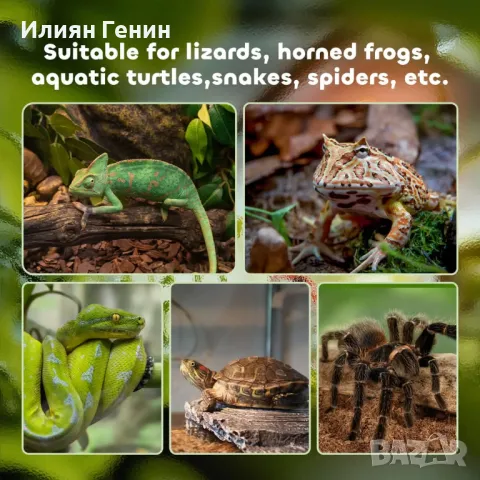 Стъклен терариум за влечуги с термометър , снимка 11 - Други стоки за дома - 48369918