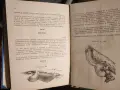 Наръчник на ловеца и риболовеца“, съставено от авторски колектив, снимка 3