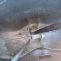 РЕМАРКЕ ЦИСТЕРНА АЛУМИНИЕВА МНОГОКАМЕРНА ЗА ГОРИВА / ТЕЧНОСТИ, снимка 8