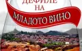 Дефиле на Младото Вино в Стария Пловдив, снимка 1