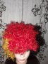 PERUCKE AFRO Шарена къдрава перука с голям обем, снимка 3