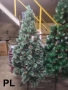 Коледни елхи с бели връхчета – различни размери, снимка 7