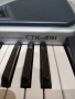 Синтезатор Casio CTK -491, снимка 3