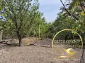 Къща село Горно Белево, снимка 7