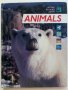 Детска енциклопедия "Animals -my first reference library" - 1994г., снимка 1 - Детски книжки - 42524605