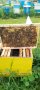 Пчелни отводки лицензиран производител (биологични и конвенционални), снимка 1 - Стоки за пчели - 44456579