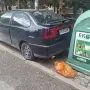 сеат пали и върви, снимка 6