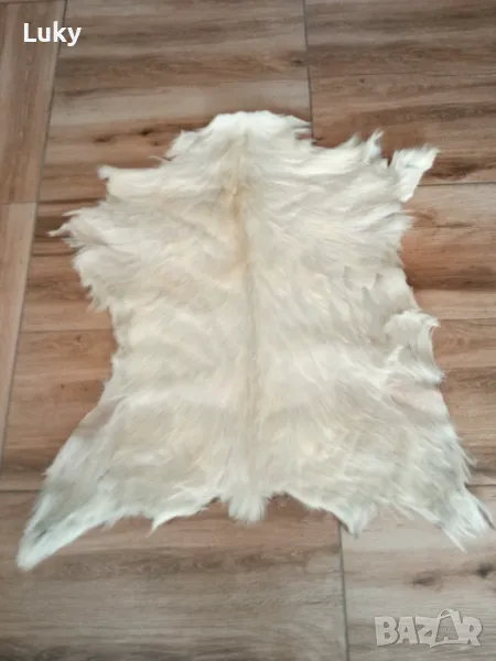 Естествена и прекрасна,екзотична кожа от коза, снимка 1