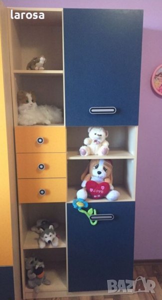 Секция, снимка 1