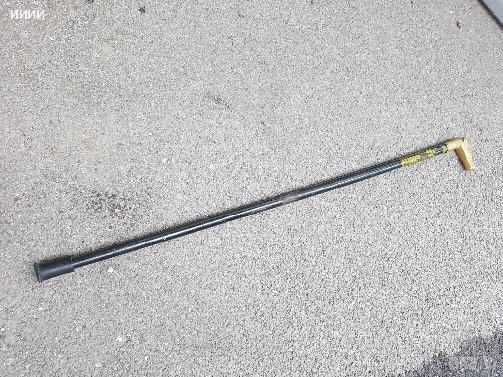 Екзотичен бастун кон, снимка 1