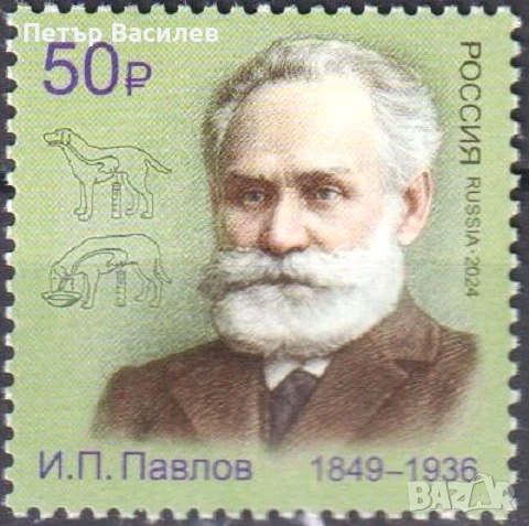 Чистa маркa И.П. Павлов Нобелов лауреат 2024 от Русия, снимка 1