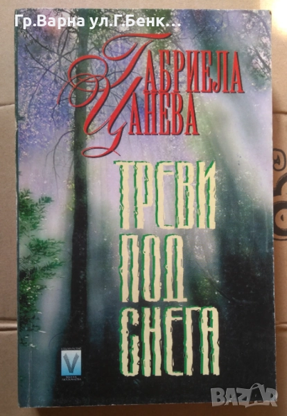 Треви под снега  Габриела Цанево 15лв, снимка 1