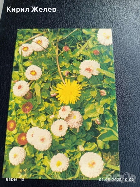 Старо календарче серия ЦВЕТЯ много красиво за КОЛЕКЦИЯ ДЕКОРАЦИЯ 35357, снимка 1