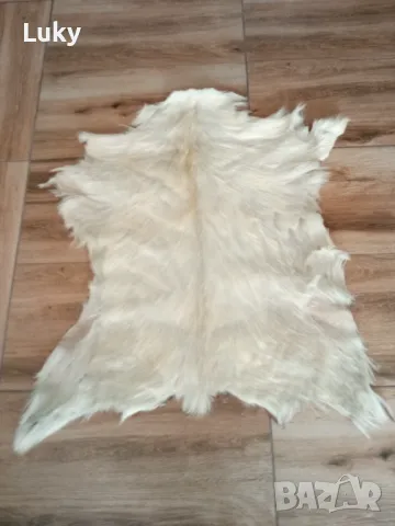 Екзотична и естествена кожа .