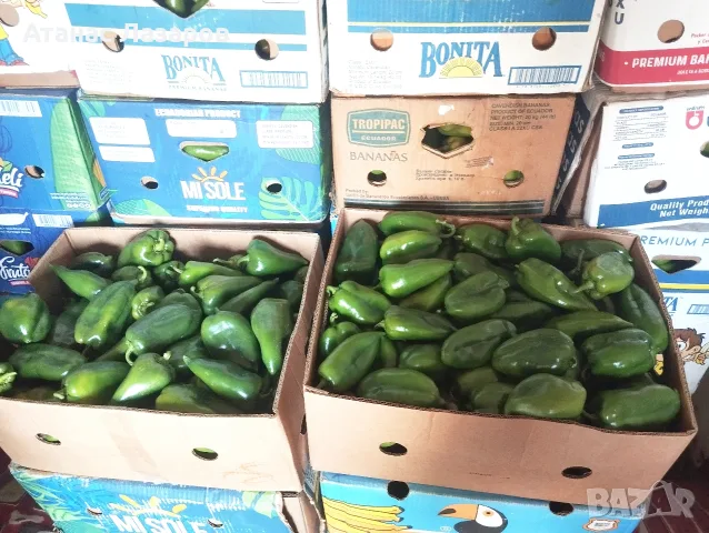 Продавам зелена капия на едро