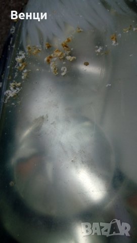 Професионално полиране на фарове на автомобили., снимка 11 - Полиране - 15781992