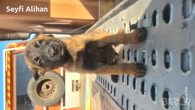 0898795662 на 50 дена мъжко 