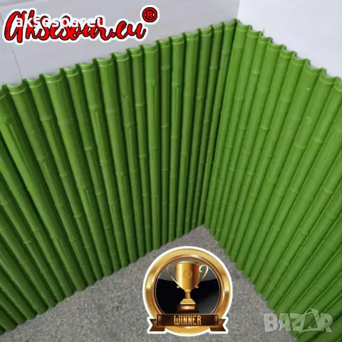 Семена бамбук Moso Bambo декоративни растения за дома и двора бамбуков разсад за декорация, снимка 10 - Сортови семена и луковици - 48995495