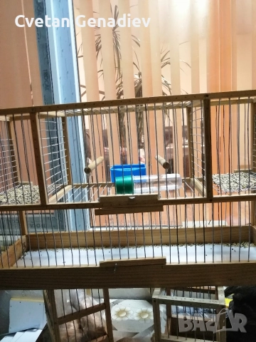 продавам клетка , снимка 5 - За птици - 52971990