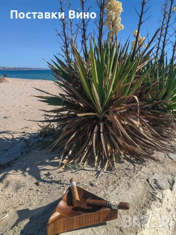 "Морски" пепелник за пури, снимка 2 - Декорация за дома - 52238981