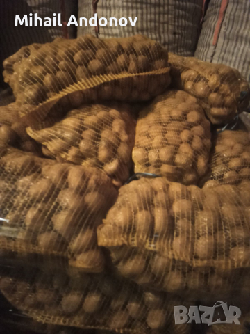 Картофи за семе клас а, има и за консумация, снимка 3 - Сортови семена и луковици - 44605753