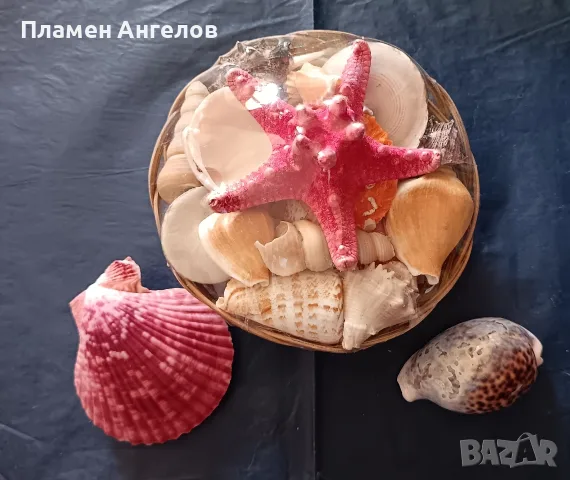 Кошница с екзотични раковини +още 2 броя. 