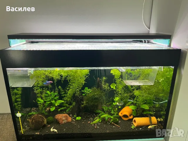 Аквариум с осветление и канистър