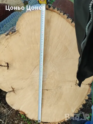 ЯСЕН ЗА ПЛОТОВЕ НА МАСИ НА ДИСКОВЕ, СУХ , снимка 10 - Маси - 47558728