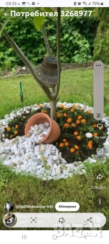 почистване мазета тавани кърти чисти извозва пренасяне на багаж , снимка 11 - Други почистващи услуги - 52833436