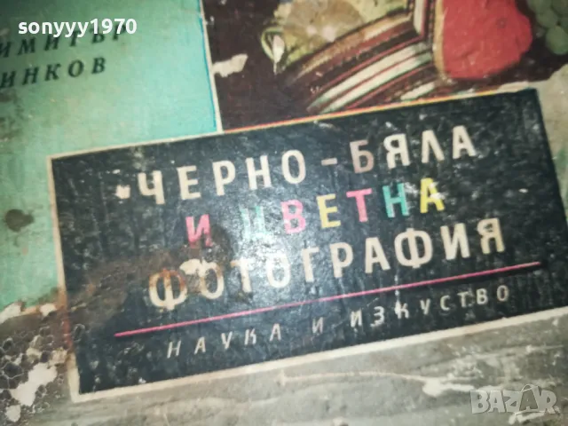 ЧЕРНО БЯЛА И ЦВЕТНА ФОТОГРАФИЯ-КНИГА 0310240758, снимка 4 - Други - 47443811