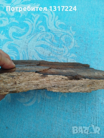 вкаменено дърво, снимка 4 - Колекции - 53174193