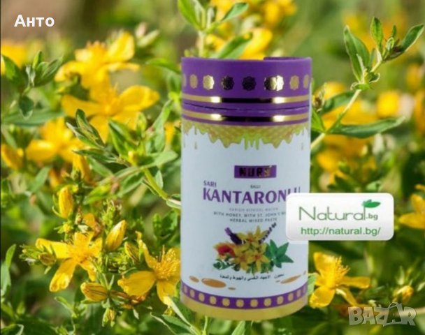 NURS Билкова паста при стрес и депресия с жълт кантарион 