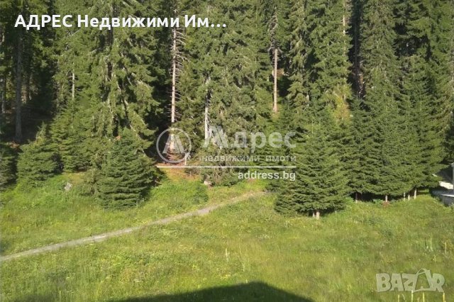 ПАРЦЕЛ за Инвестиция - Пампорово, снимка 2 - Парцели - 42339629