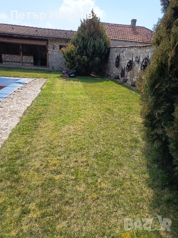 Косене на дворове, райграс, аериране, кастрене на клони, снимка 6 - Други услуги - 50847139