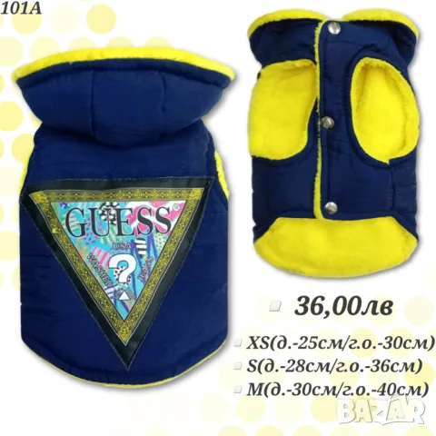 Луксозни якета за кучета. Дрехи за куче. Луксозно яке за куче. Луис Витон. Гучи. Мошино. Филип Плейн, снимка 3 - За кучета - 29375804