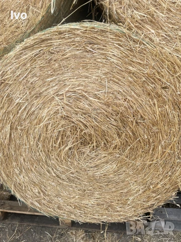 Слама бали, снимка 4 - За селскостопански - 51174970